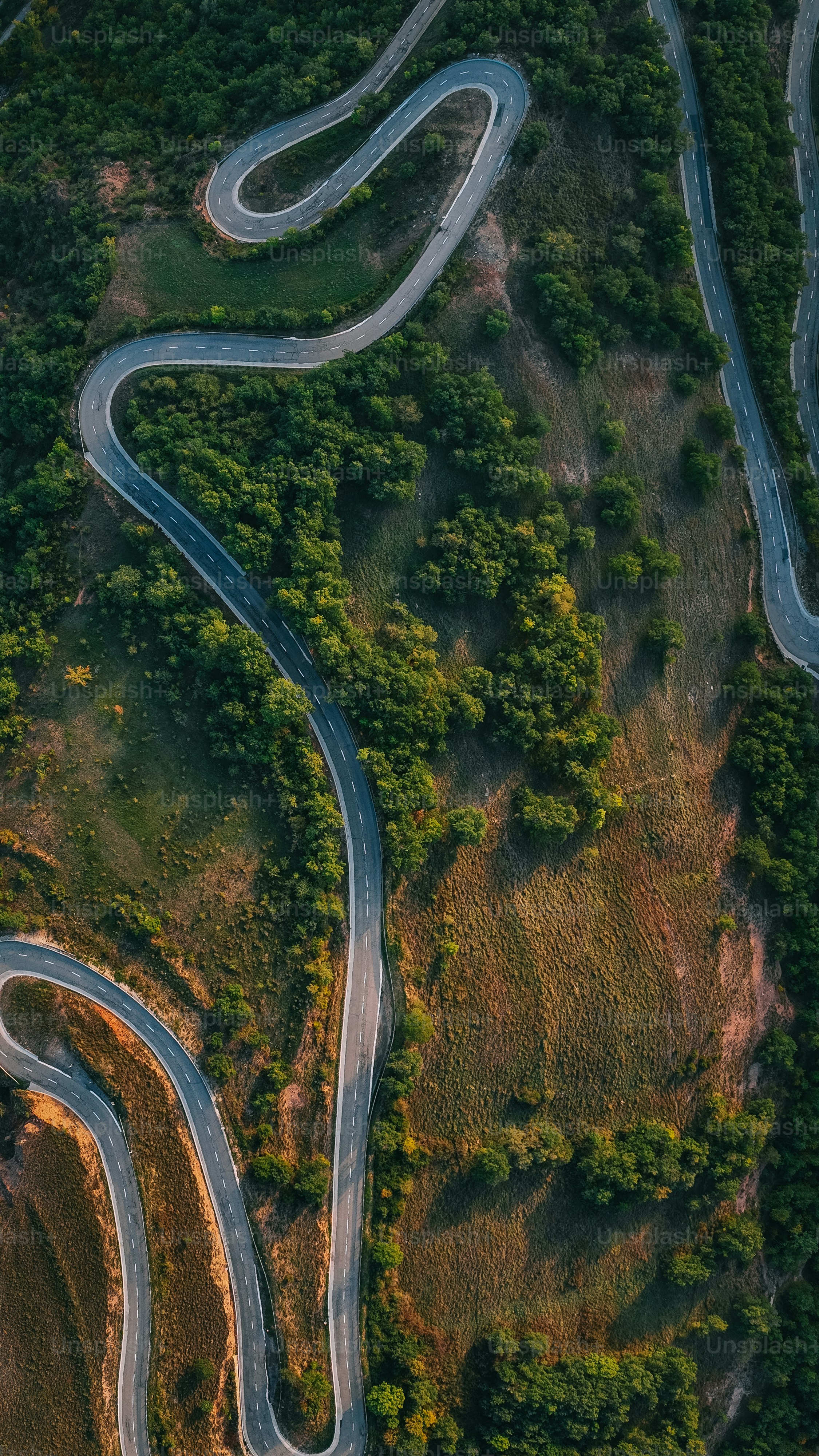 Eine kurvenreiche Straße mitten im Wald