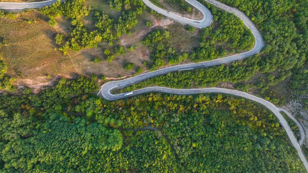 a winding road in the middle of a forest