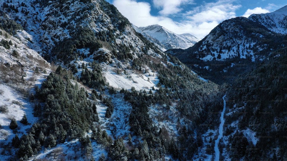 uma vista de uma cordilheira nevada com árvores