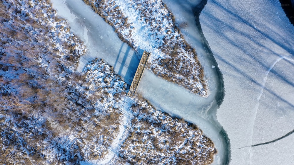 a train traveling through a snow covered forest