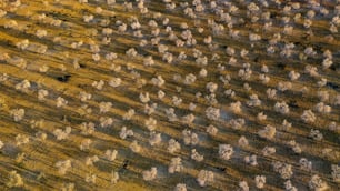 an aerial view of a plowed field with snow on the ground