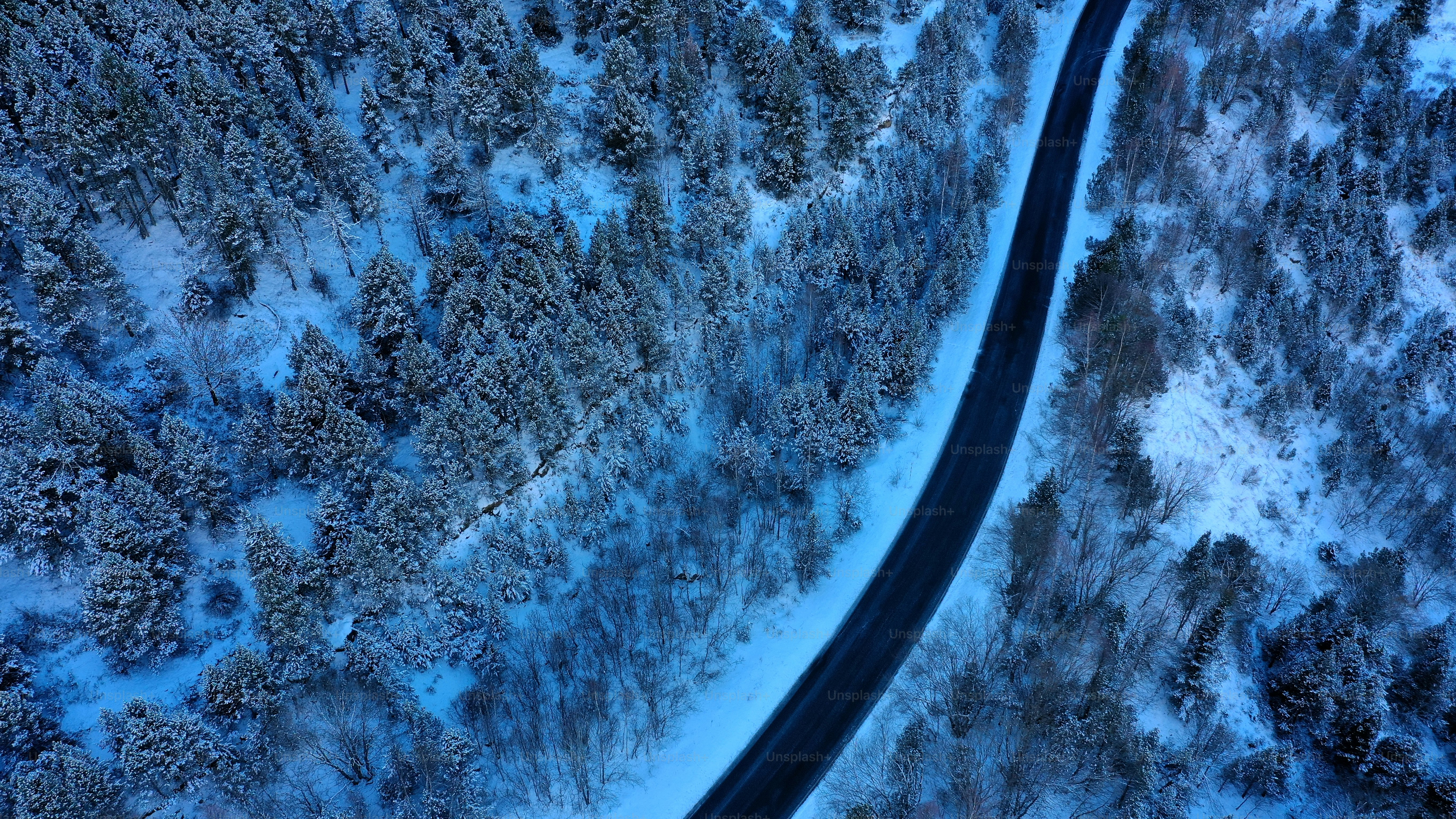 Una vista aérea de una carretera a través de un bosque nevado