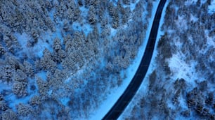 an aerial view of a road through a snowy forest
