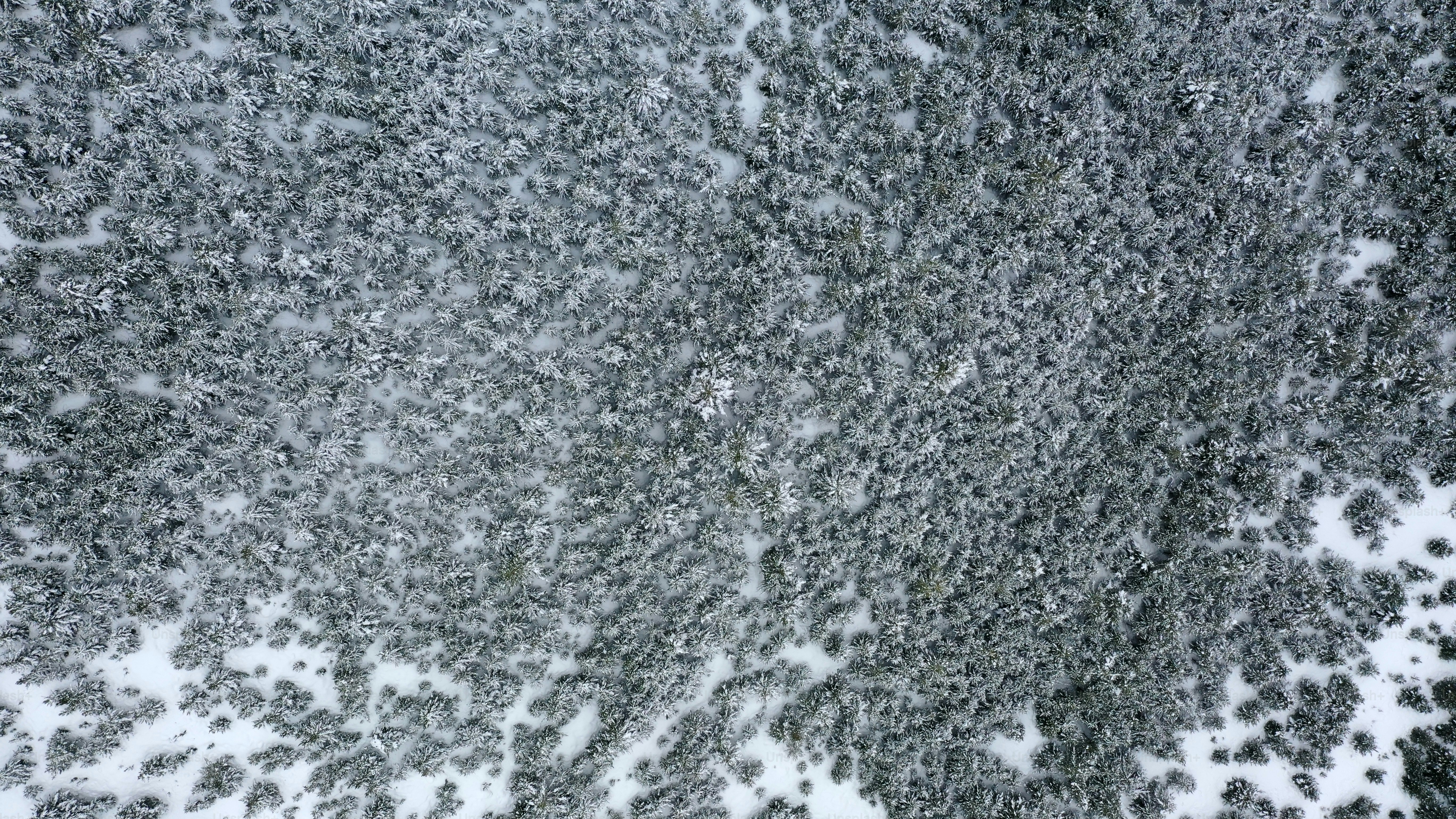 an aerial view of a snow covered field