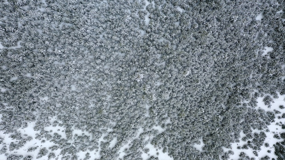 uma vista aérea de um campo coberto de neve