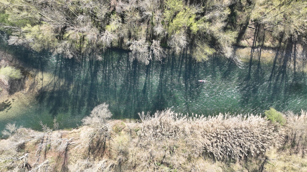 an aerial view of a lake surrounded by trees