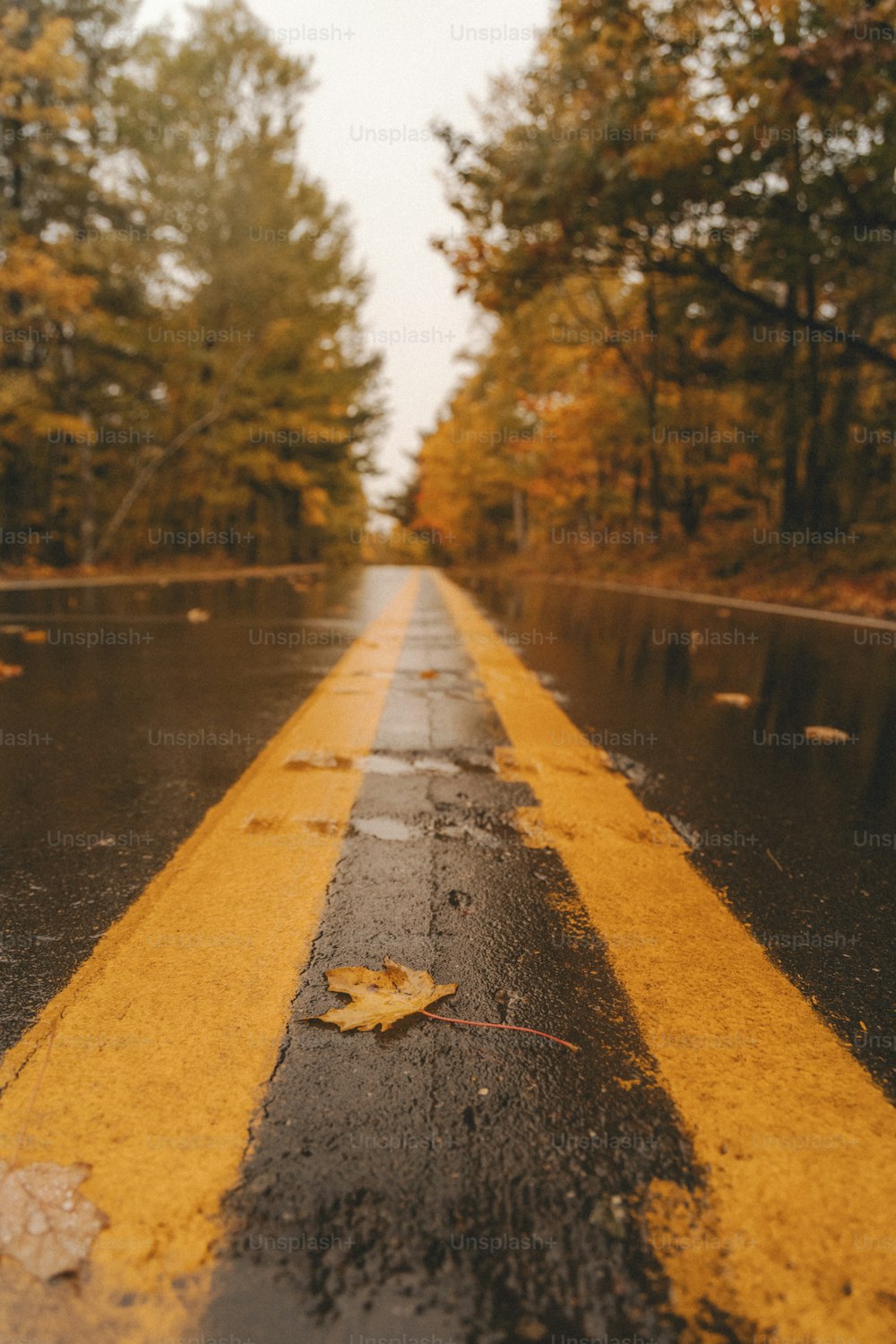 uma rua molhada com uma linha amarela pintada