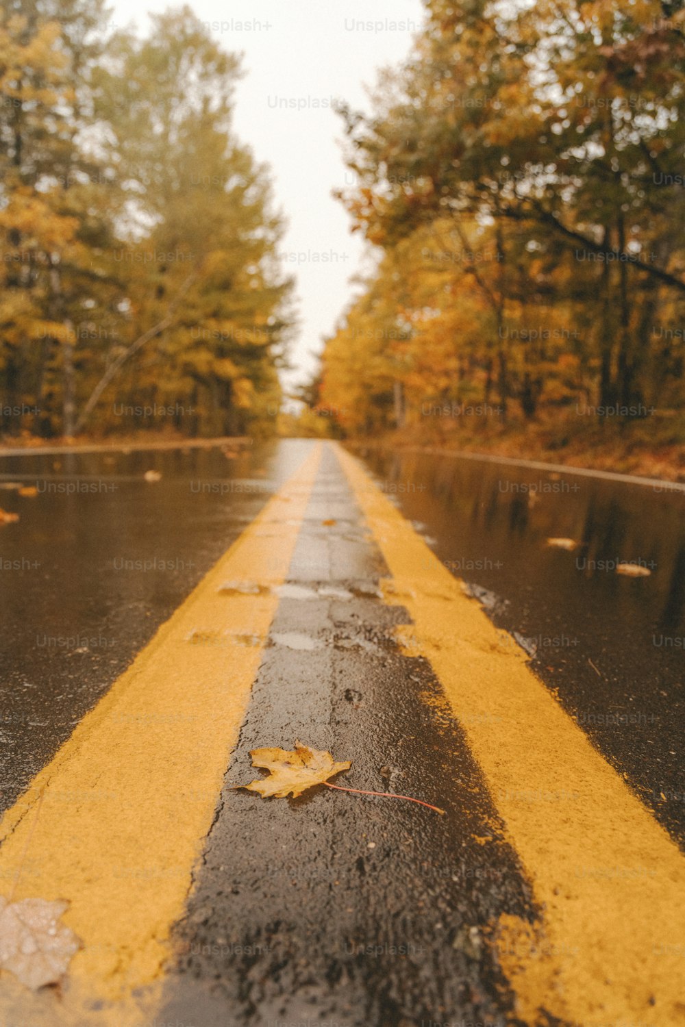 Eine nasse Straße mit einer gelben Linie darauf