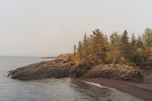 un rivage rocheux avec des arbres et un plan d’eau