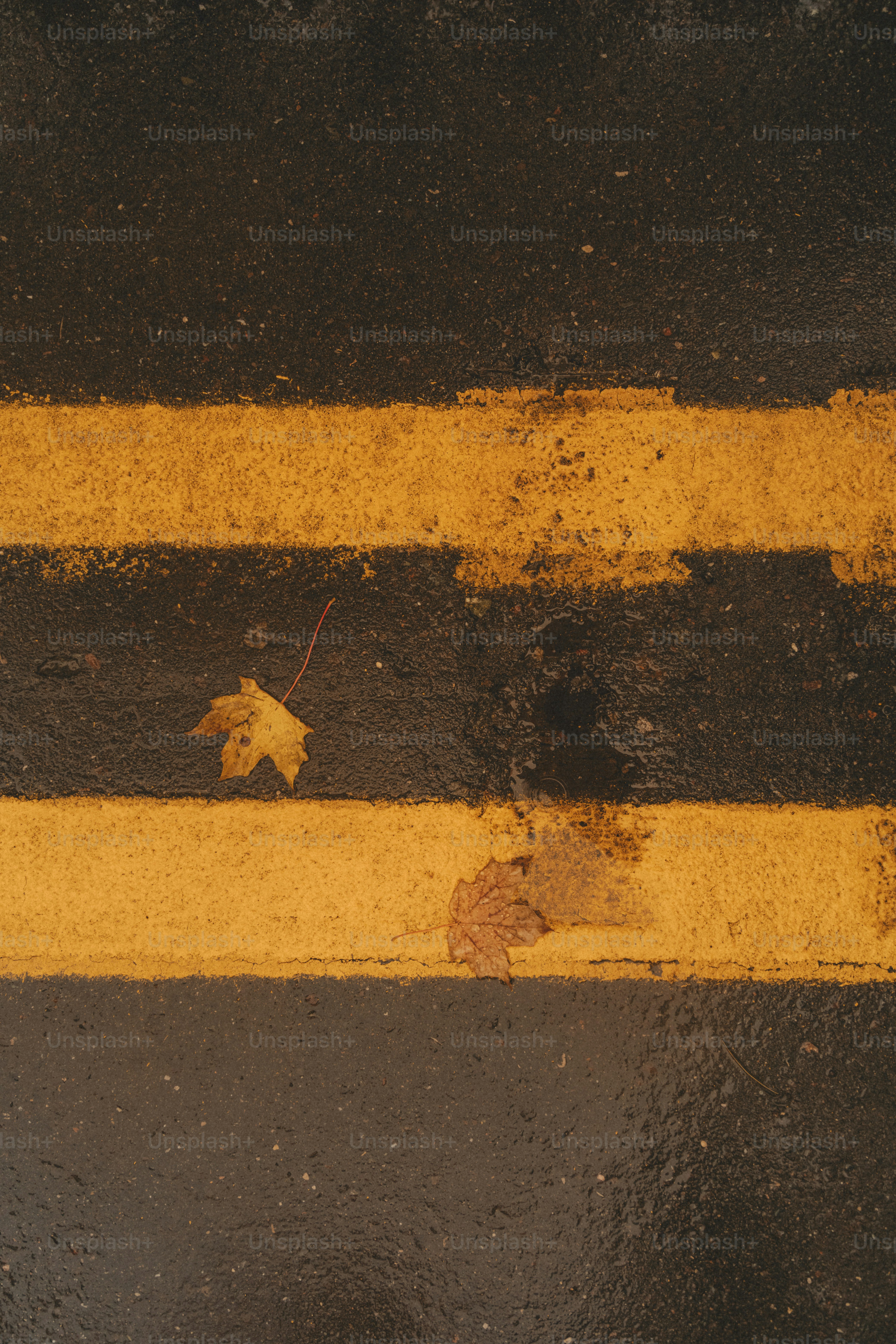 A yellow line painted on the side of a road photo Wet road Image on
