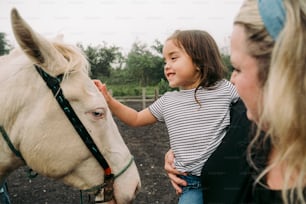 a little girl petting a white horse on the nose