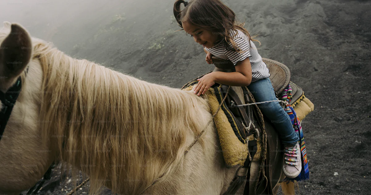 Une Petite Fille Sur Le Dos D un Cheval Blanc Photo quitation une-petite-fille-sur-le-dos-d-un-cheval-blanc-photo-quitation