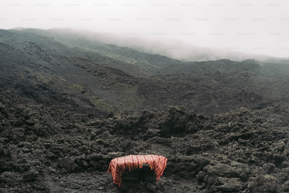 岩だらけの丘の中腹に座っている赤い傘