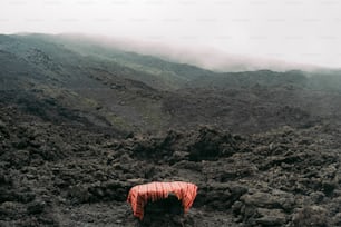 a red umbrella sitting on top of a rocky hillside