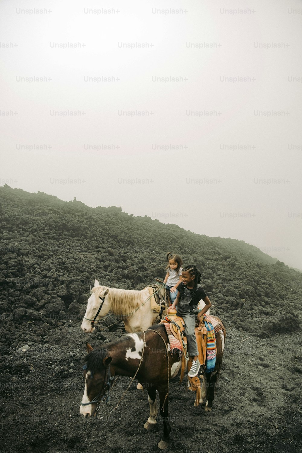 a group of people riding on the back of horses