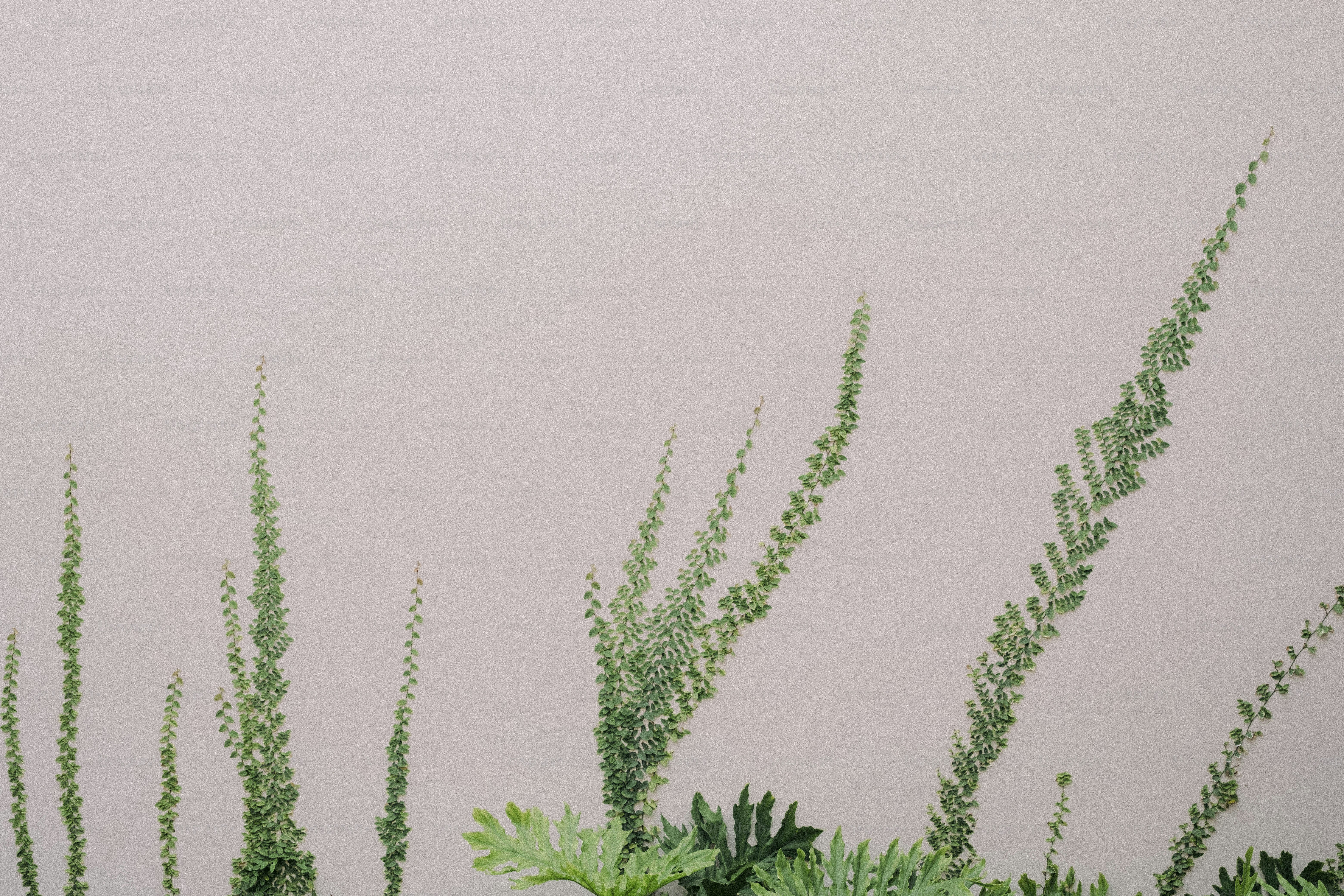 a vase filled with green plants next to a wall