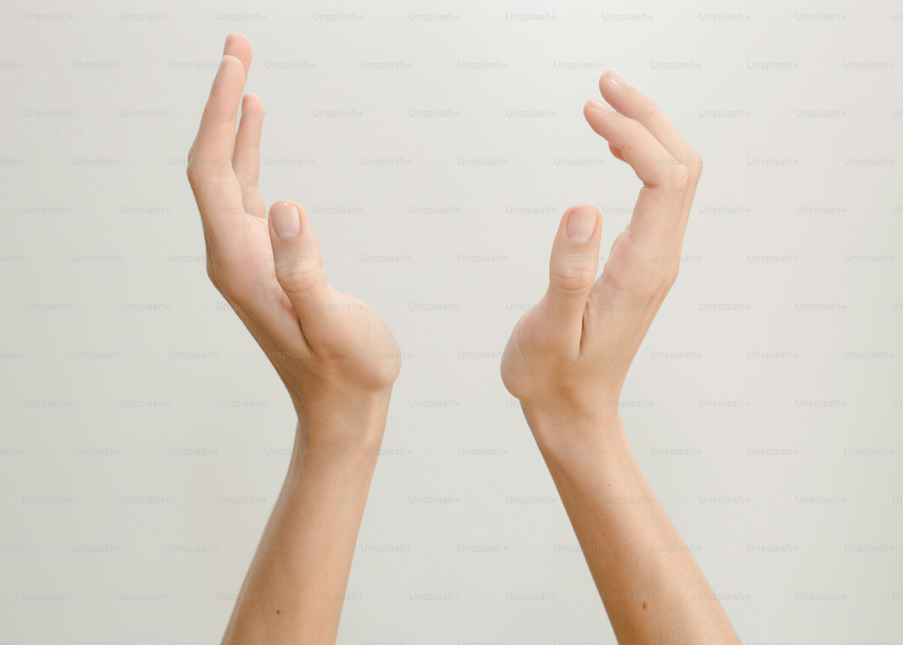 premium_photo-1666107278223-44299e033030?ixid=M3wxMjA3fDB8MXxzZWFyY2h8OXx8bWFpbnxlbnwwfHx8fDE3Mjk1MTgwODJ8MA\u0026ixlib=rb-4.0.3