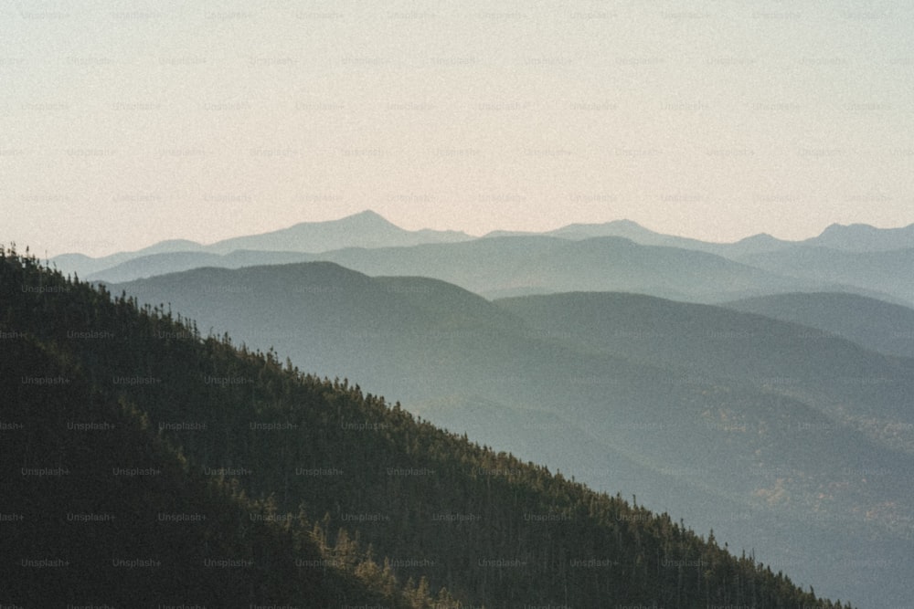 a view of a mountain range with trees in the foreground