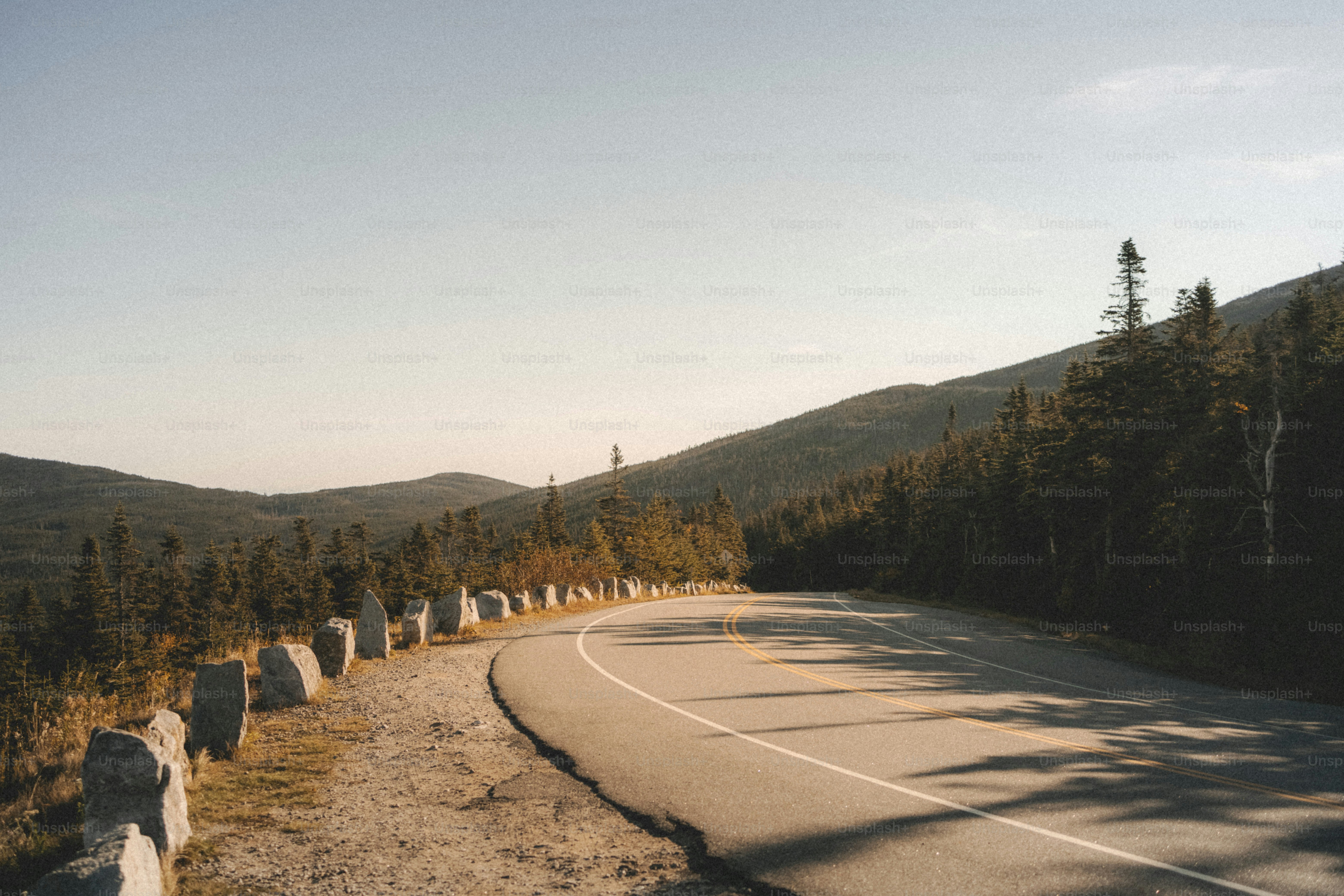 Eine leere Straße mitten im Wald