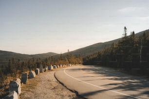 an empty road in the middle of the woods