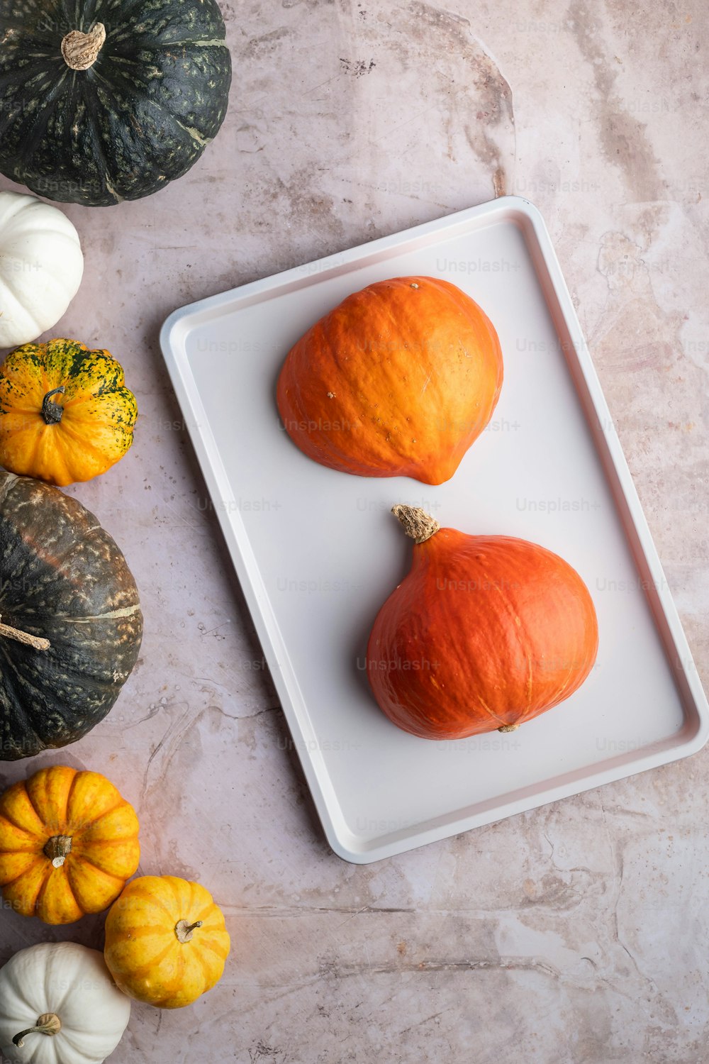 three pumpkins on a white tray surrounded by other pumpkins