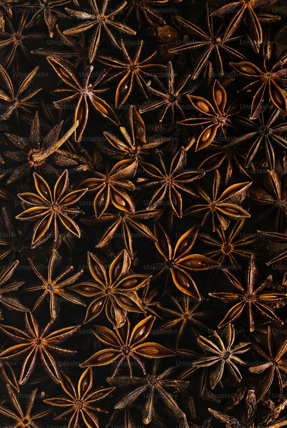 a bunch of star anise on a black background