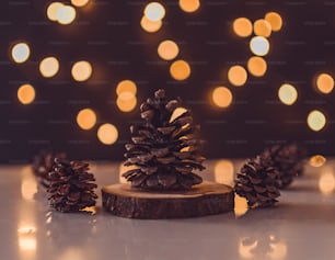 a pine cone sitting on top of a piece of wood