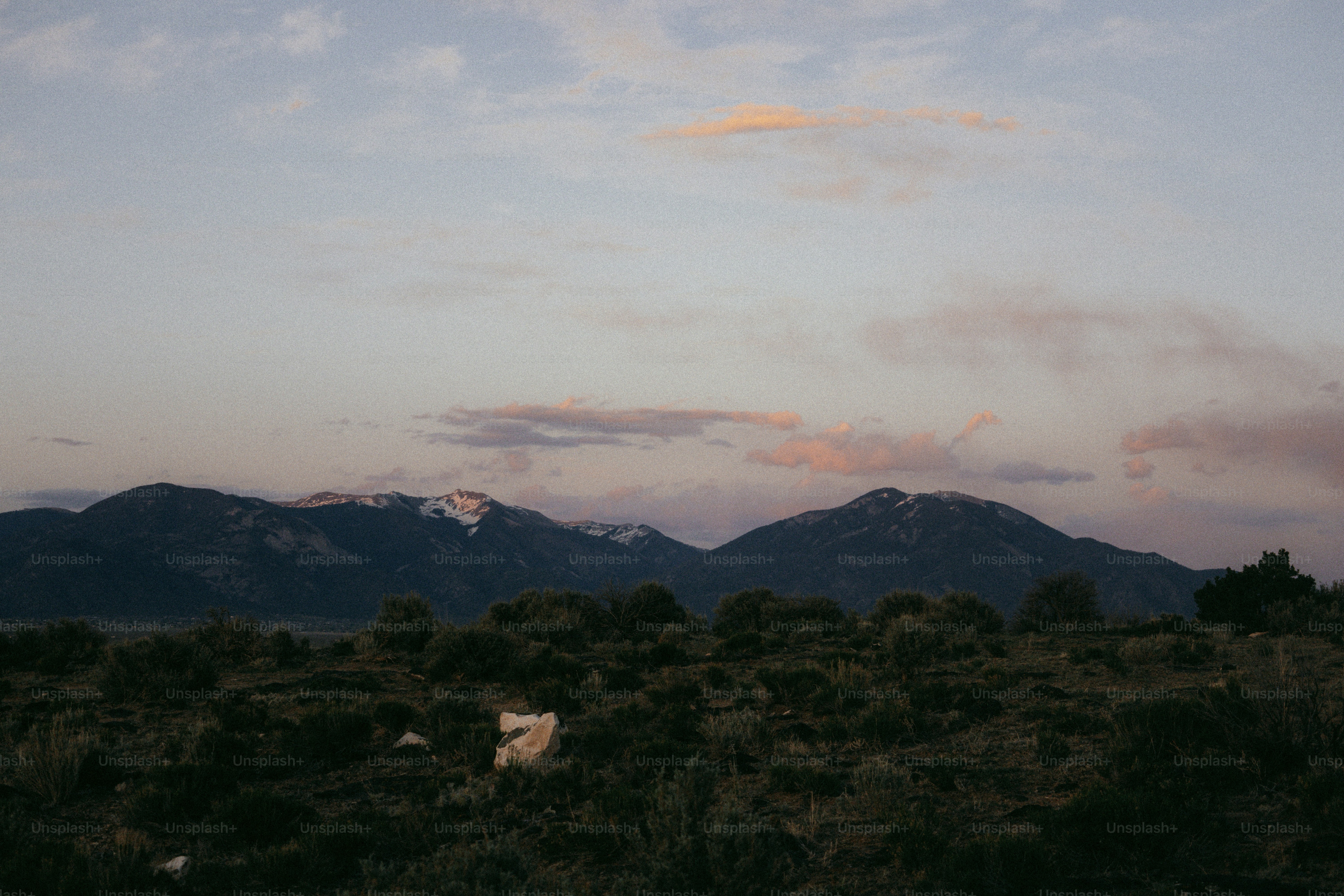 Una vaca está parada en un campo con montañas al fondo