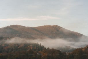 霧に覆われた山の眺め