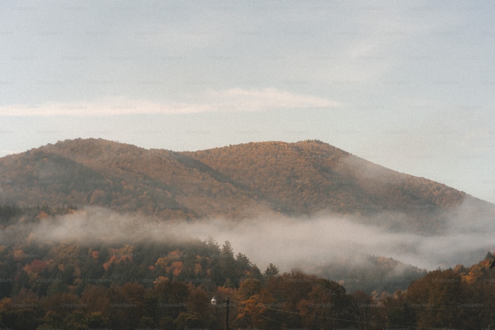 Una vista de una montaña cubierta de niebla