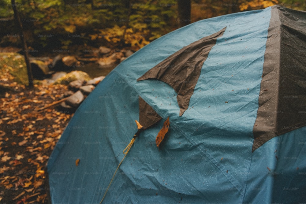 a blue and black tent in the woods