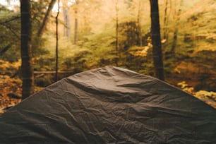 a tent in the woods with trees in the background