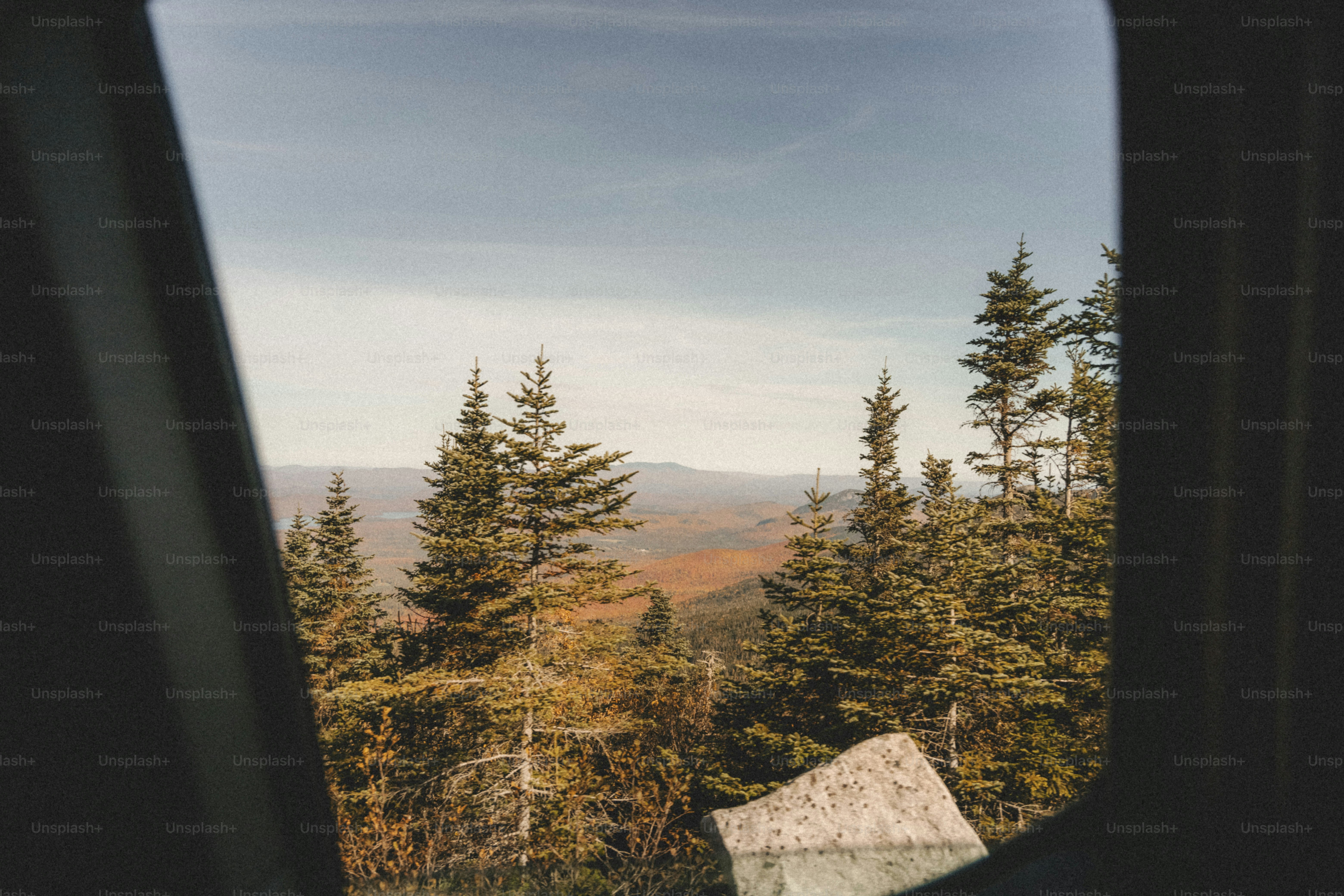 a view out of a window of a forest