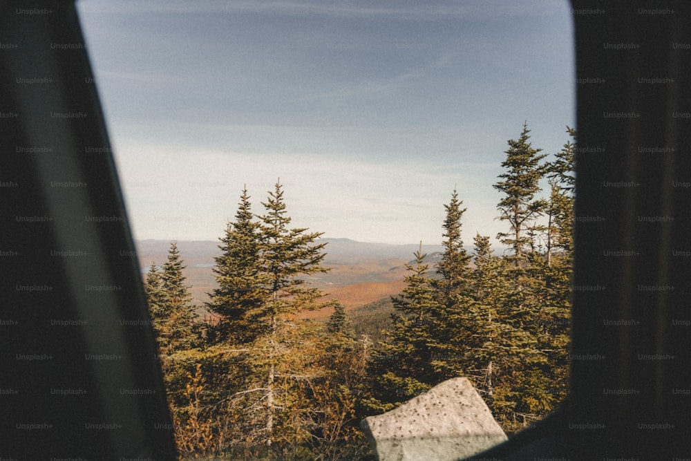 une vue par une fenêtre d’une forêt