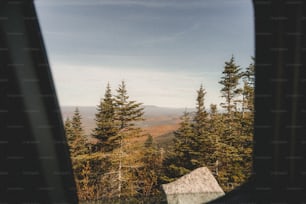 uma vista de uma janela de uma floresta