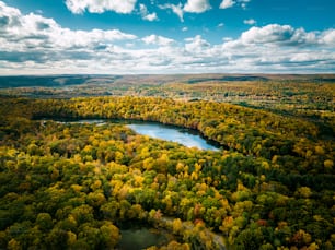 an aerial view of a lake surrounded by trees