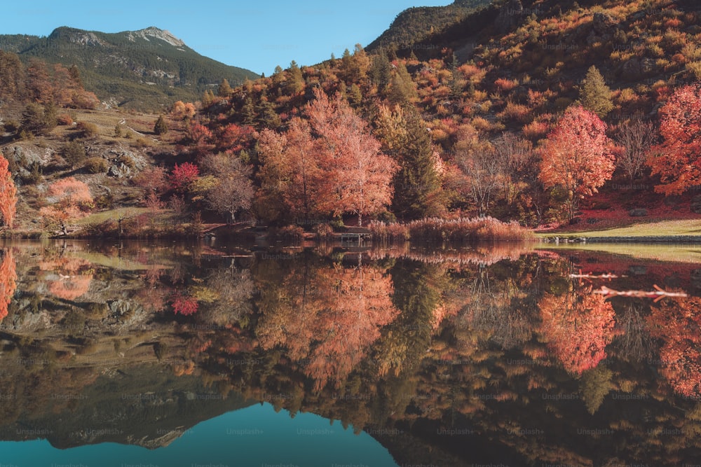 uno specchio d'acqua circondato da montagne e alberi