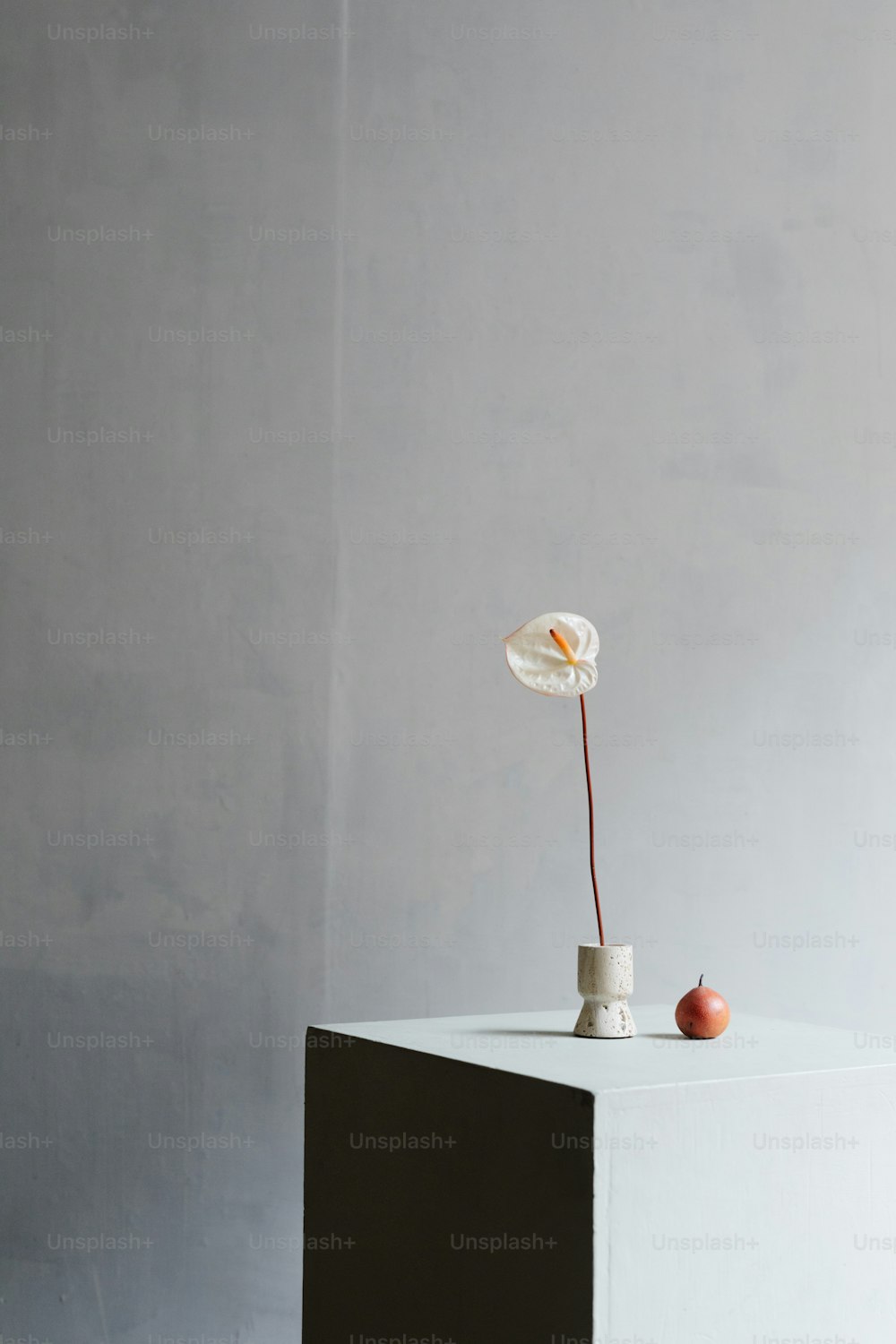a white vase with a flower on top of it