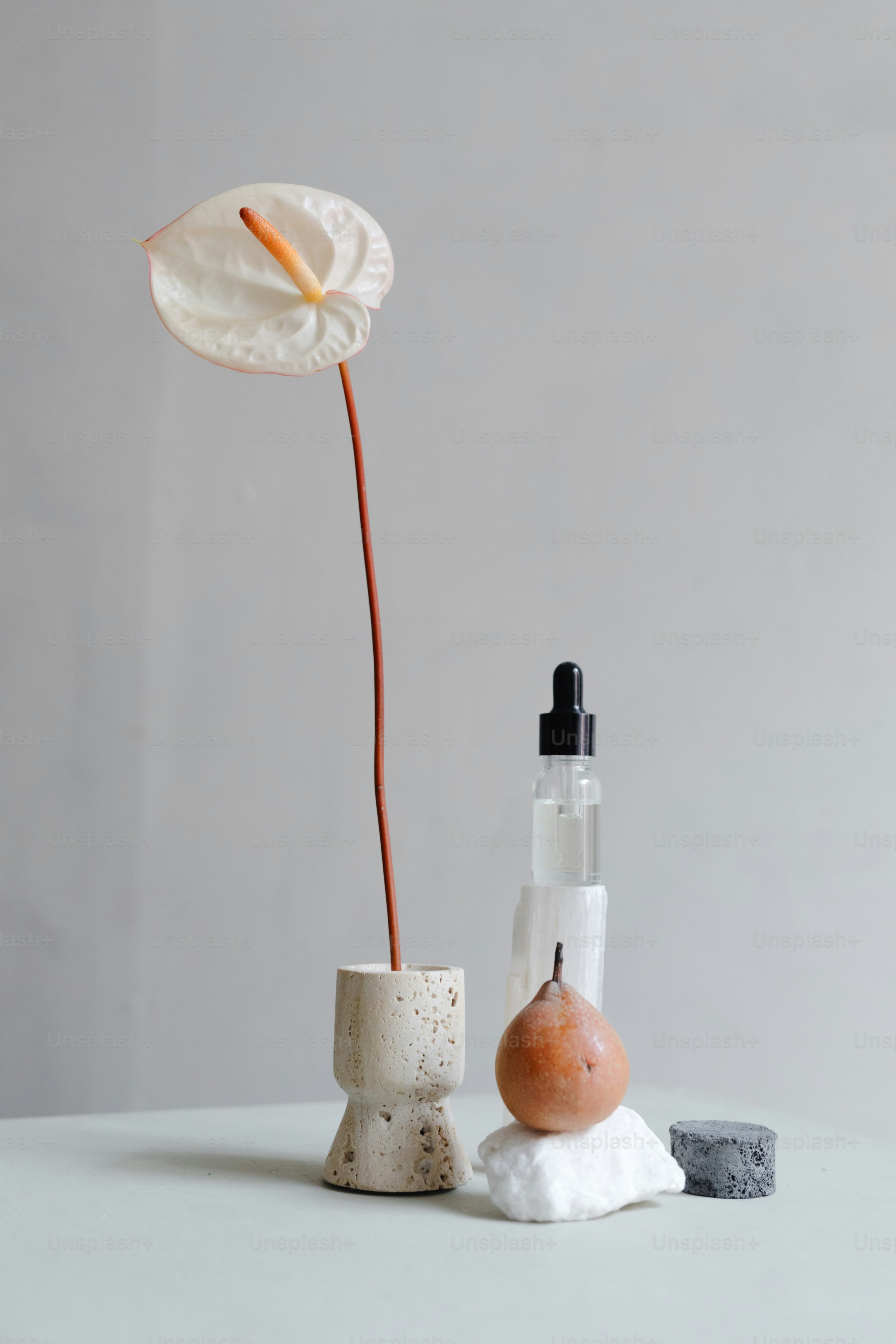 a flower that is in a vase next to a rock