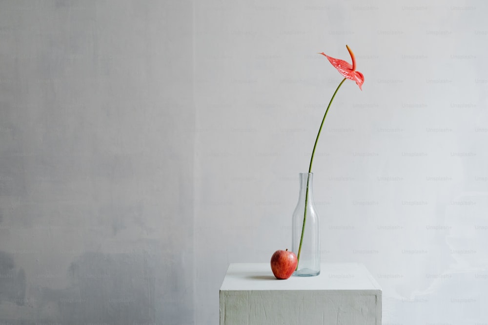 eine Vase mit einer Blume und einem Apfel auf einem Tisch