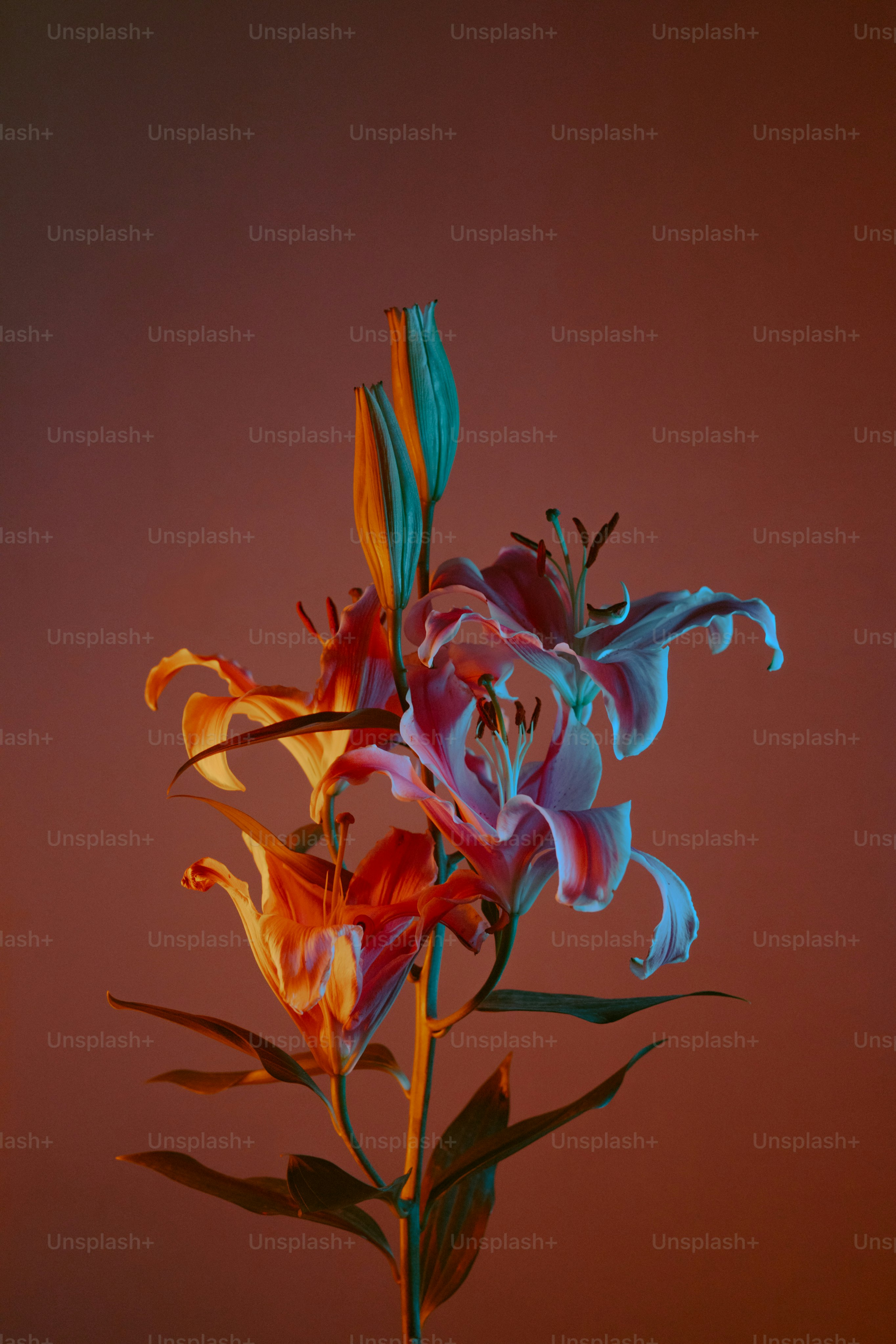 a vase filled with colorful flowers on top of a table