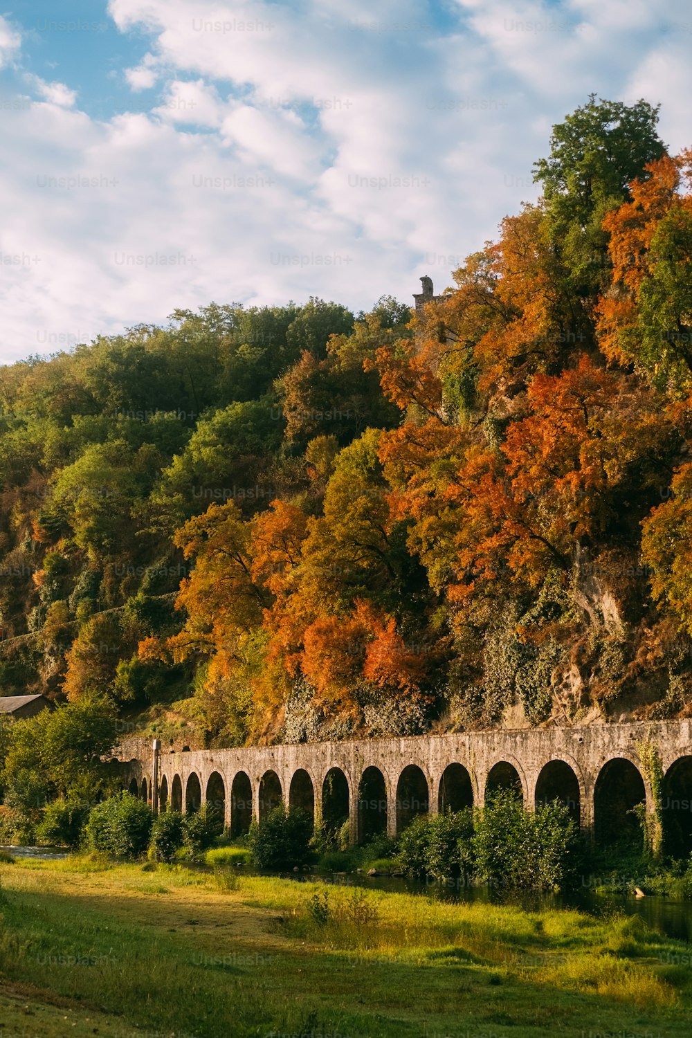 a train traveling over a bridge next to a lush green forest