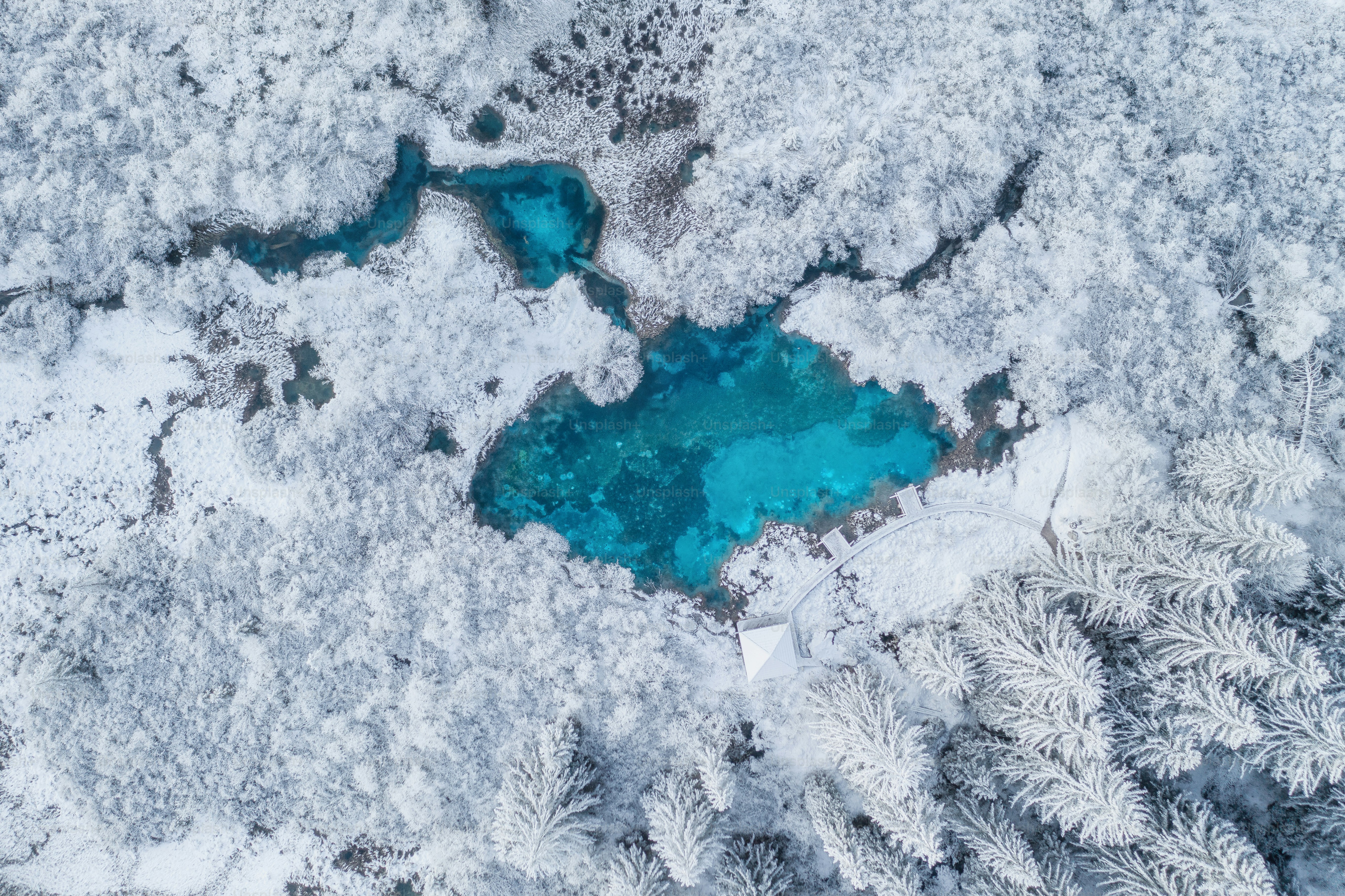un lago azul rodeado de árboles cubiertos de nieve
