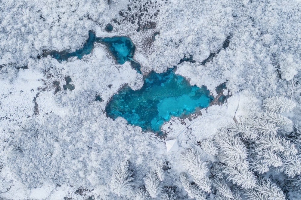 a blue lake surrounded by snow covered trees