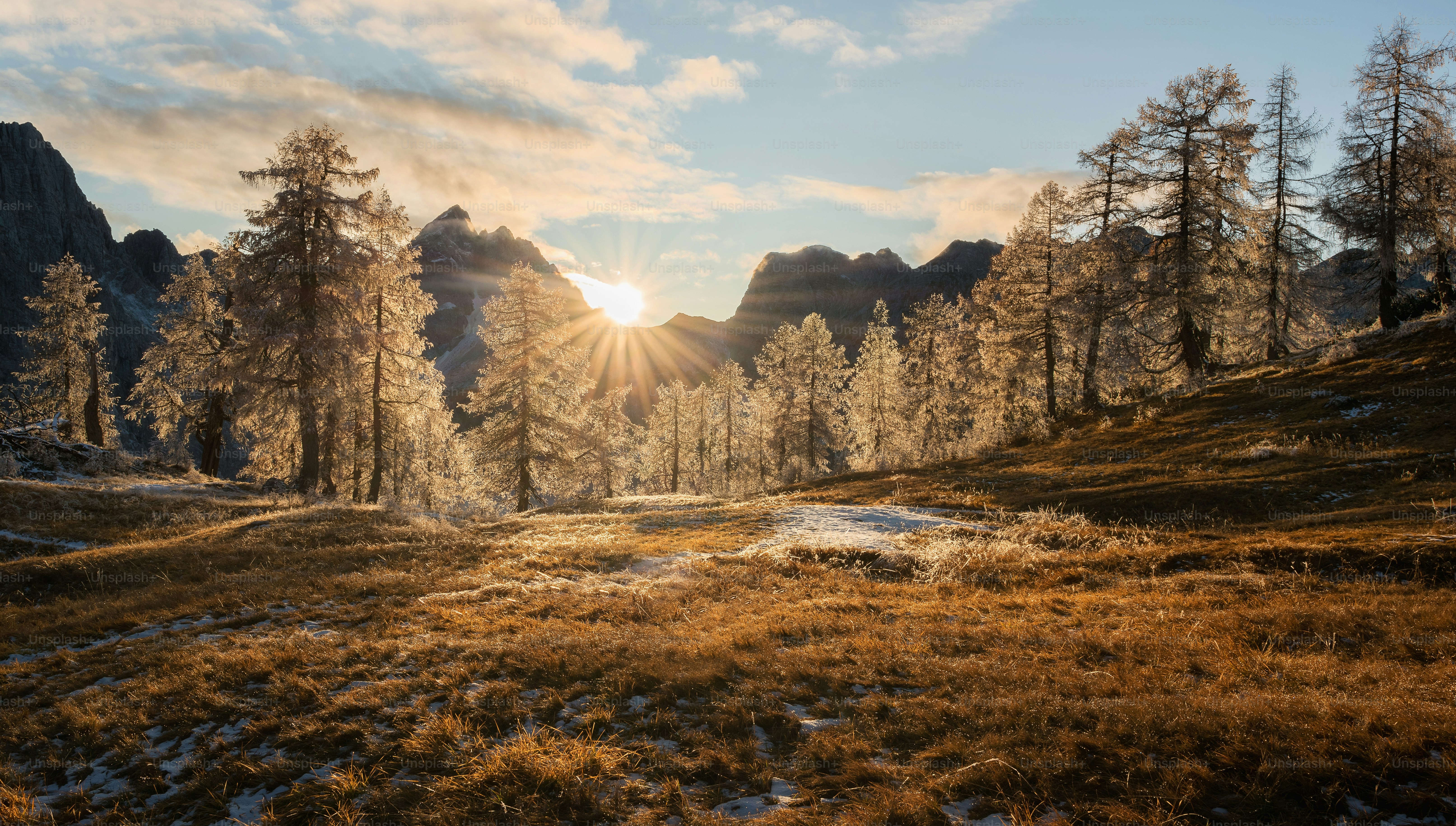 Nature Light Pictures | Download Free Images on Unsplash