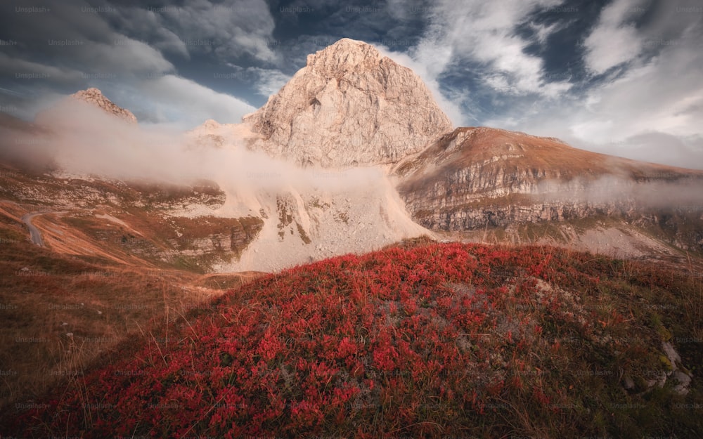 a mountain covered in red flowers under a cloudy sky