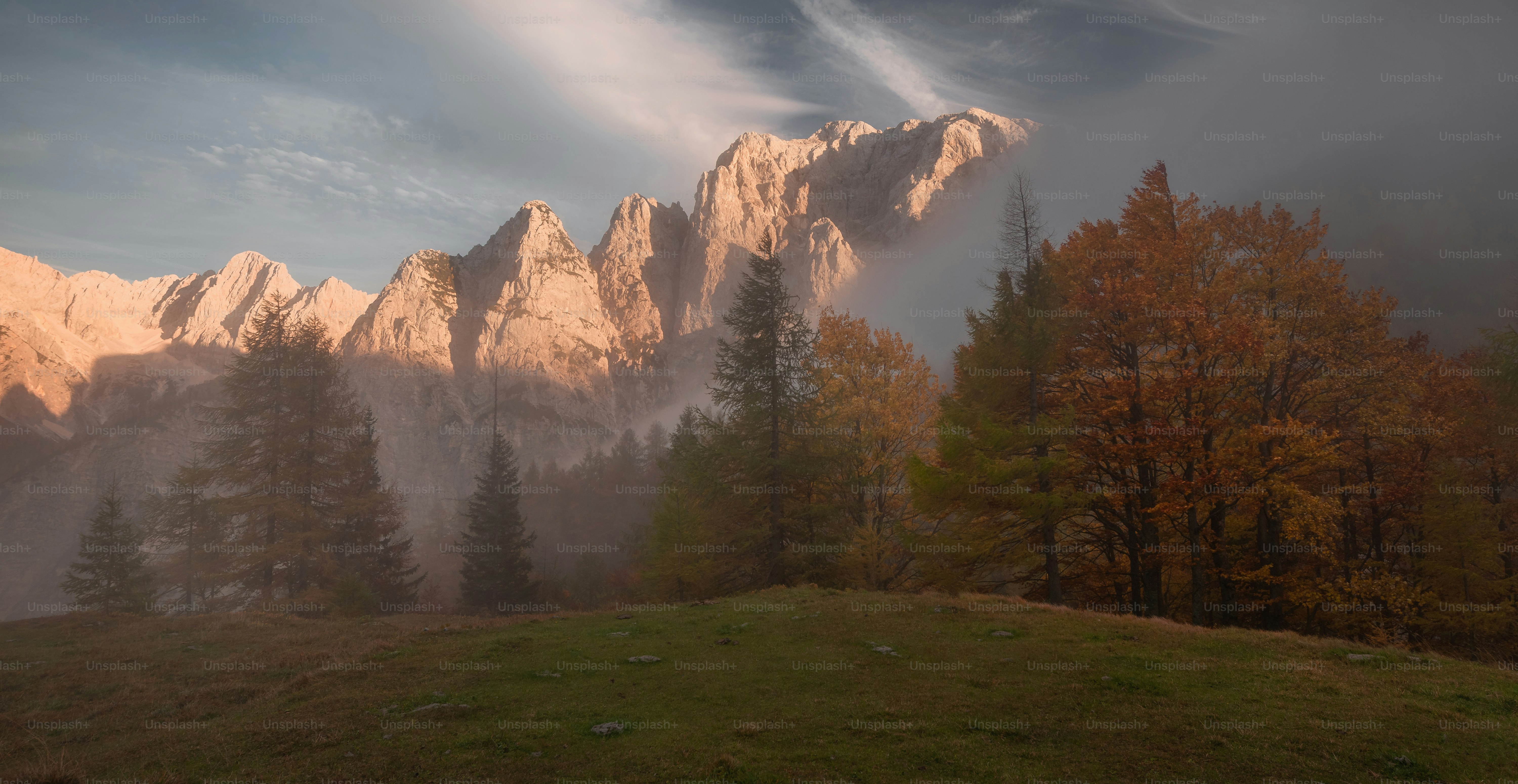 Una colina cubierta de hierba con árboles y montañas al fondo