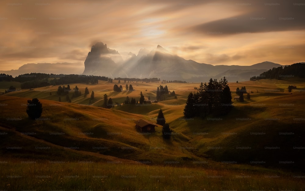 a scenic view of a mountain range with trees in the foreground