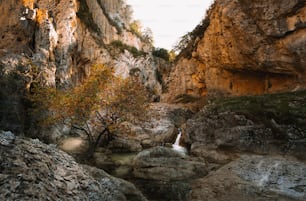 Une petite cascade au milieu d’un canyon rocheux