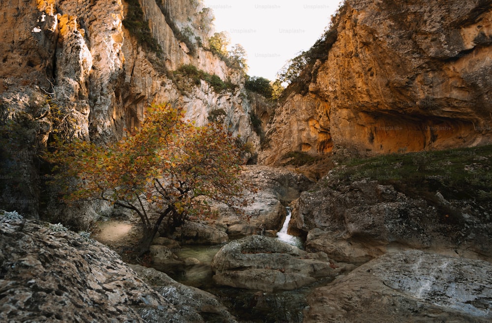 岩だらけの峡谷の真ん中にある小さな滝